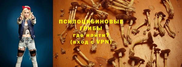 PSILOCYBIN Бронницы